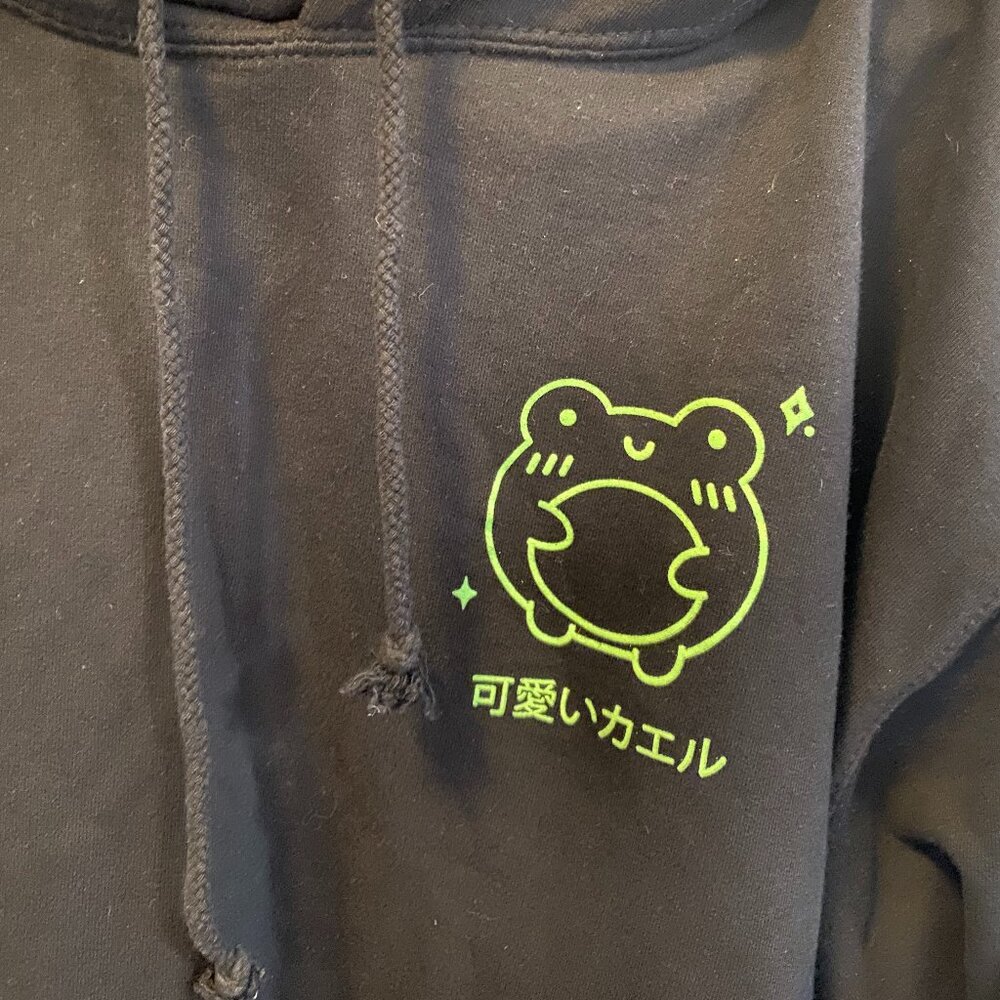 momokokkoii Albert the Frog Ultimate Black Hoodie - Picture 4 of 5